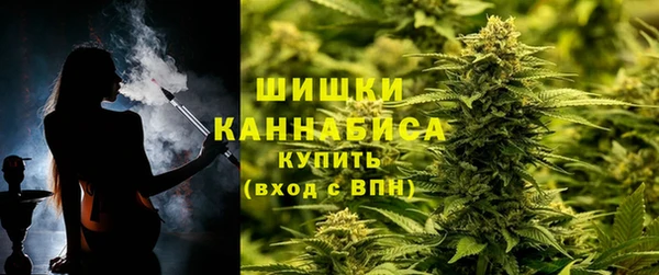 стаф Каменногорск