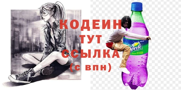 твердый Козельск