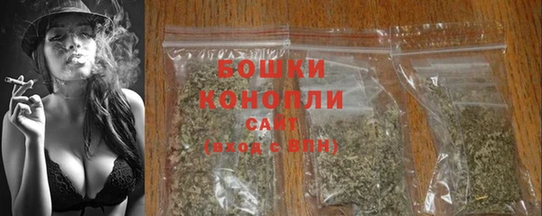 стаф Каменногорск