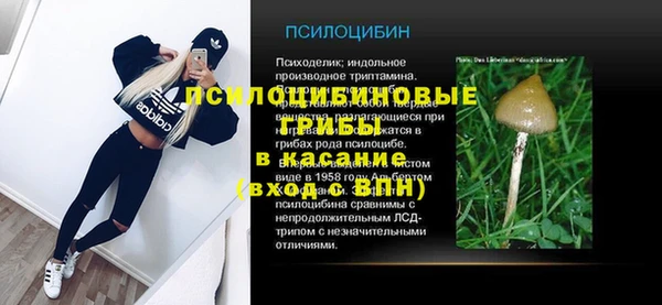стаф Каменногорск