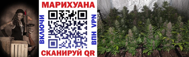 Купить где  Сокол  Конопля OG Kush 